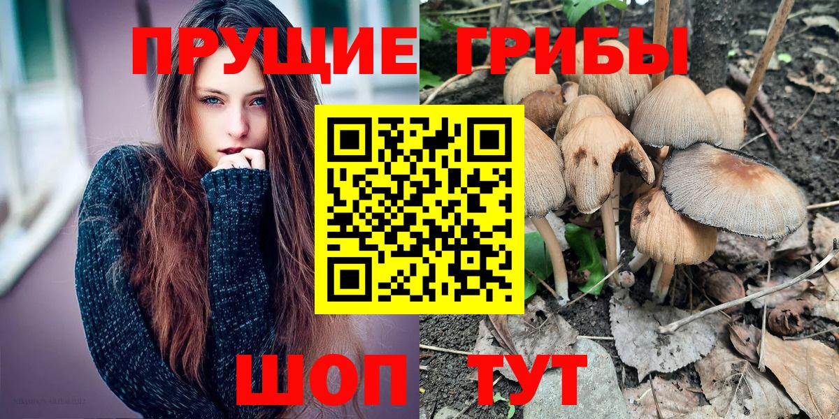 Донецк  Галлюциногенные грибы GOLDEN TEACHER  Вход с VPN  Псилоцибиновые грибы ЛСД 
